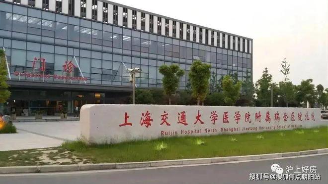 虹桥嘉悦府最新资讯·虹桥嘉悦府售楼处楼盘详情(图24)