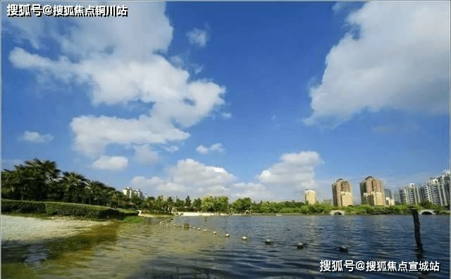 上海·火爆认购——大宁揽翠艺墅售楼处发布！24小时热线！(图13)