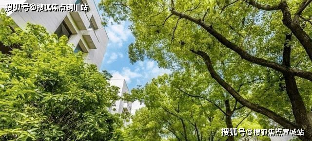 上海·火爆认购——大宁揽翠艺墅售楼处发布！24小时热线！(图6)