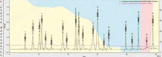 全自动氨基酸分析仪(图18)