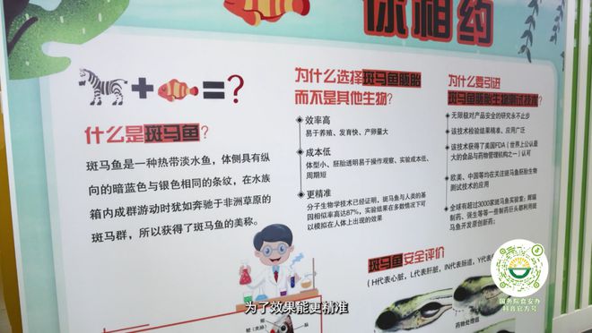 为了一枚无抗蛋他们把鸡当人看(图7)
