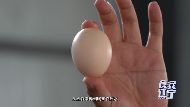 为了一枚无抗蛋他们把鸡当人看(图11)