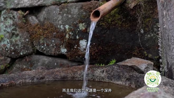 为了一枚无抗蛋他们把鸡当人看(图16)