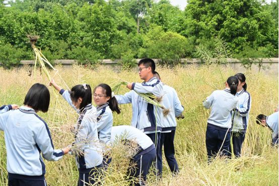 米乐M6平台：哈工大2个北航1个北理1武大1电子科大3中考643分西川中学学霸直奔新世纪光华！(图14)