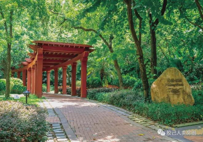 米乐M6平台：2024公告!侨鑫保利汇景台怎么样值得买吗？楼盘解析一文读懂(图17)