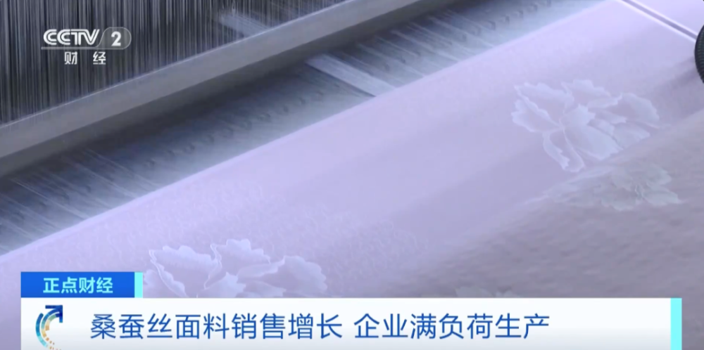 订单排到明年3月！“国潮风”带火桑蚕丝服饰(图4)