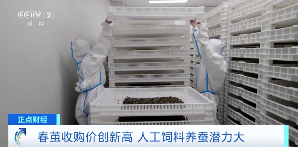 订单排到明年3月！“国潮风”带火桑蚕丝服饰(图8)