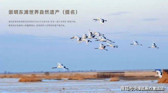 东滩海上明月(上海崇明)欢迎您东滩海上明月首页网站楼盘详情价格户型(图17)
