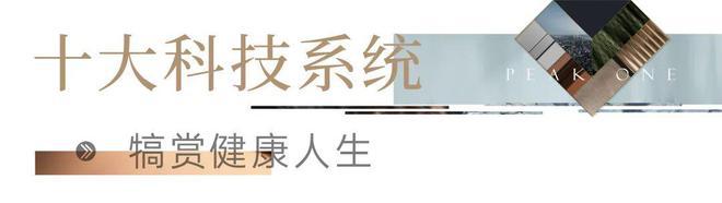 米乐M6平台：杭州御临云峰（2024最新楼盘详情）御临云峰售楼处网站！(图10)