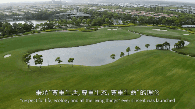 米乐M6网页版：东滩海上明月（东滩海上明月售楼处）202424小时热线电话(图8)