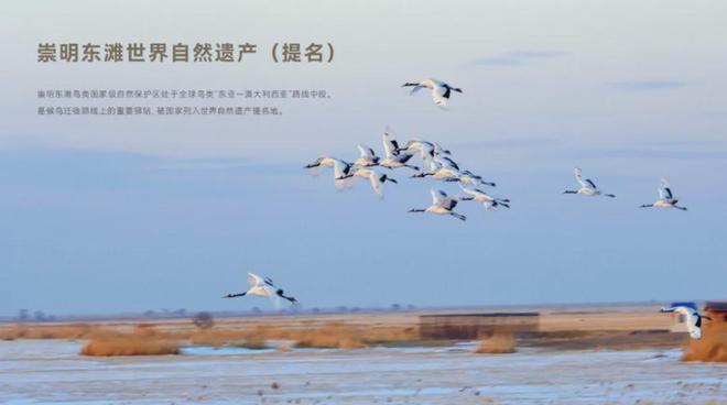 米乐M6网页版：东滩海上明月（东滩海上明月售楼处）202424小时热线电话(图22)