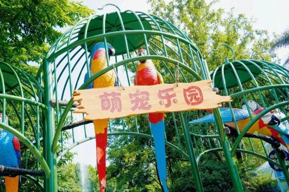 米乐M6平台：一天打来回个个都好耍！(图8)