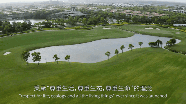 东滩海上明月(2024海上明月)首页网站丨最新户型配套-楼盘详情(图9)