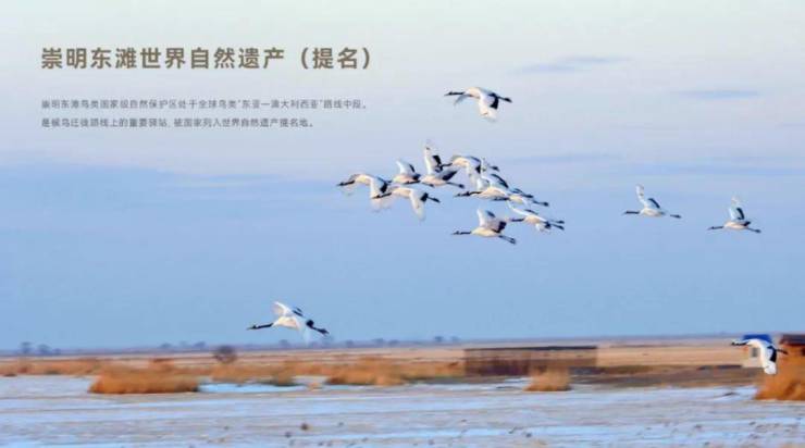 东滩海上明月(2024海上明月)首页网站丨最新户型配套-楼盘详情(图23)