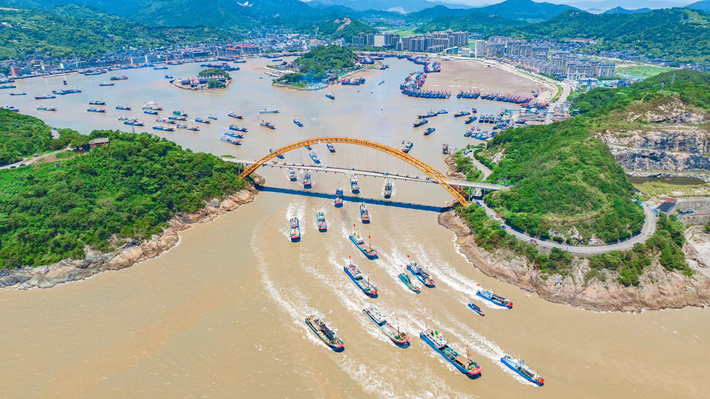 东海“第一口鲜”上桌！渔民：今年梭子蟹有望降价(图1)