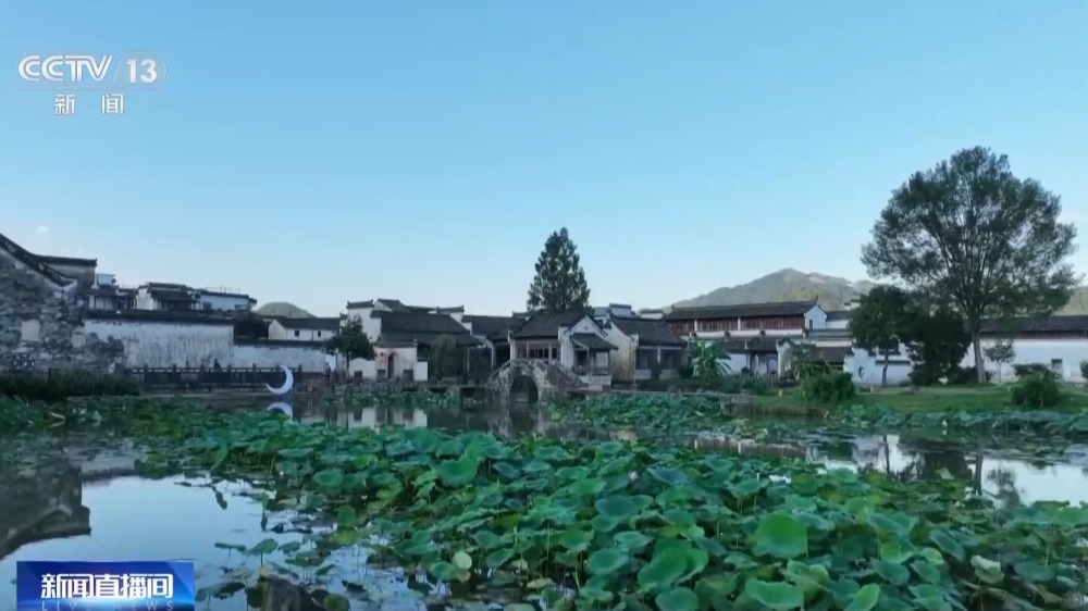米乐M6：文化中国行丨距今几百年为何不惧暴雨洪涝？揭秘古村落的生态智慧(图19)