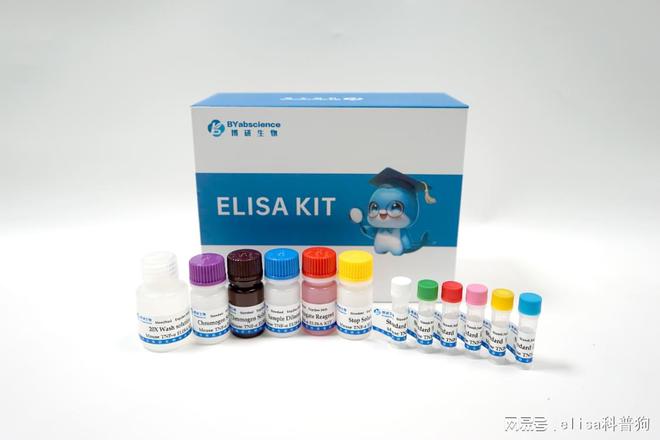南京博研生物：猪免疫球蛋白A（IgA）ELISA试剂盒特点与优势(图1)