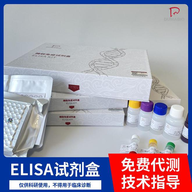 人CCAAT增强子结合蛋白ε(CEBPε)ELISA试剂盒(图3)