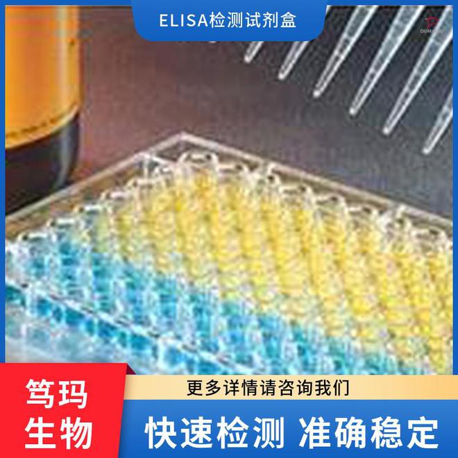 人CCAAT增强子结合蛋白ε(CEBPε)ELISA试剂盒(图1)