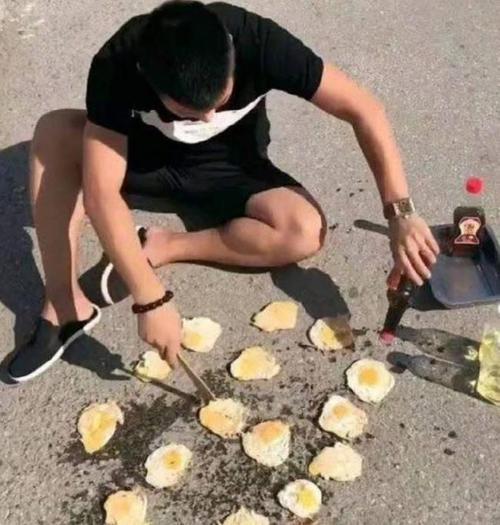 专家：房子现在还必须装空调是耻辱我国房子跟欧洲相差还很远(图15)