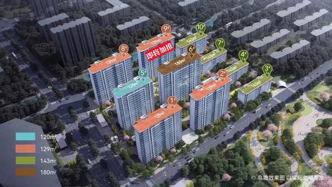 南京秦淮区保利文璟和颂2024网站-保利文璟和颂售楼处-房天下(图11)