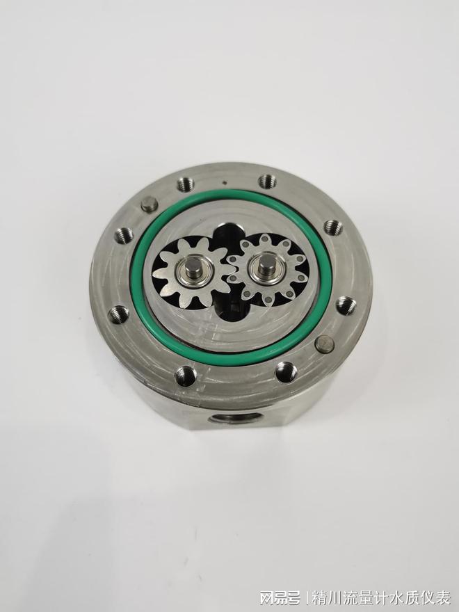 微小流量3LH防腐型液体流量计精川专业生产(图1)