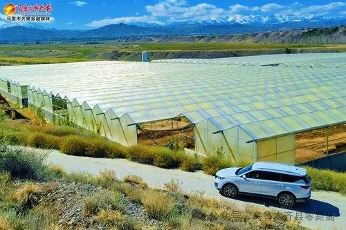 这里投资500余万元用“模拟海水”养殖鱼虾大丰收！(图1)