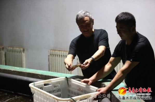 这里投资500余万元用“模拟海水”养殖鱼虾大丰收！(图2)