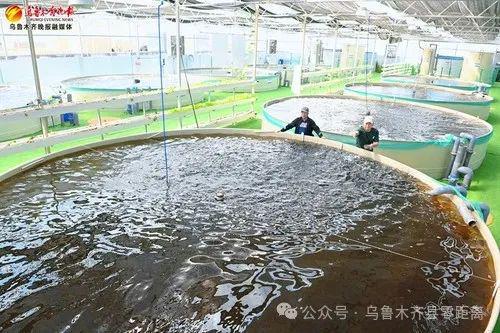这里投资500余万元用“模拟海水”养殖鱼虾大丰收！(图5)