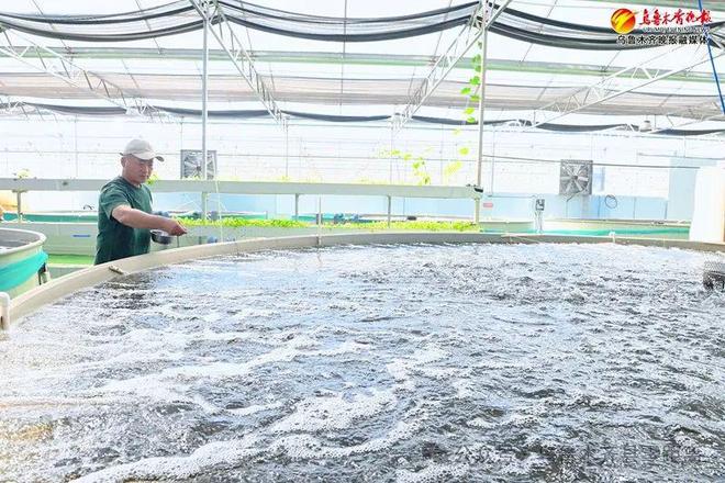 这里投资500余万元用“模拟海水”养殖鱼虾大丰收！(图6)
