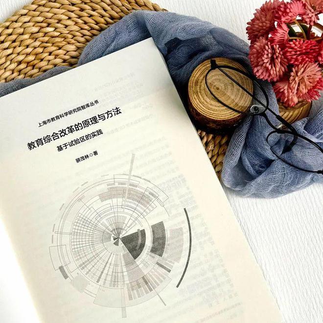 《教育综合改革的原理与方法：基于试验区的实践》：发现教育综合改革的“意义”(图4)