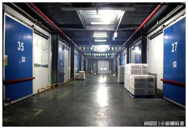 修文县428座“超大冰箱”助猕猴桃“冬眠”延长货架期(图2)