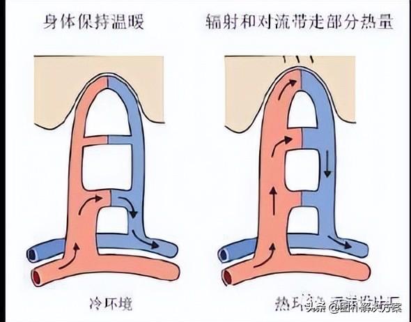 【图朴解决方案】毛细管网空调基本原理(图1)