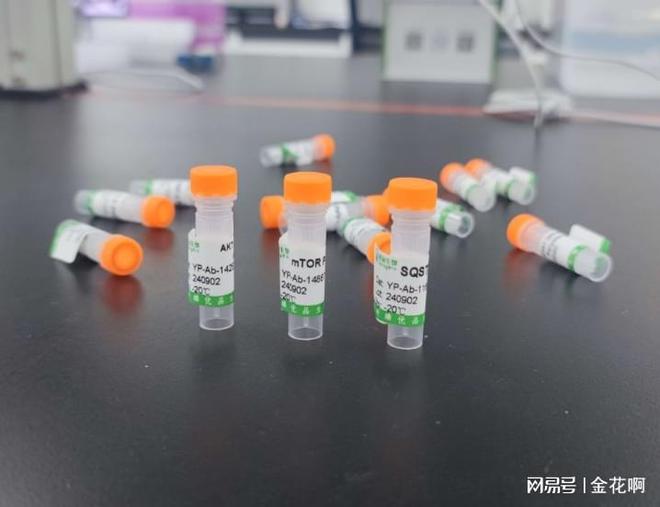 米乐M6网页版：小鼠单克隆抗体IgG四种亚型鉴定试剂盒的使用注意事项有哪些？(图1)