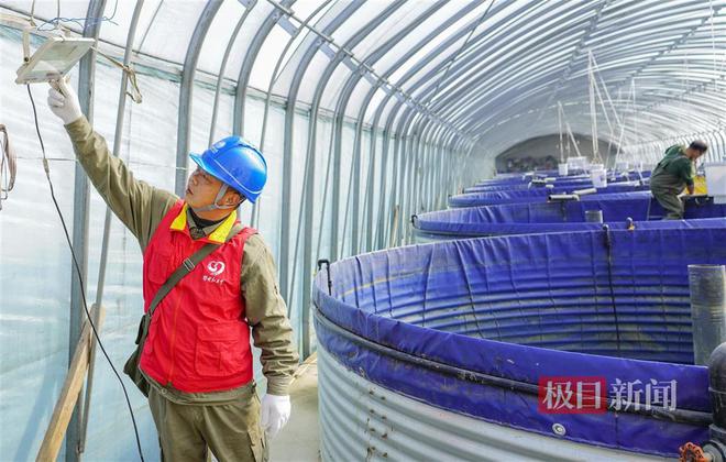 米乐M6网页版：可靠供电护航智慧农业他们助力“长江三鲜”在武汉成功养殖(图2)
