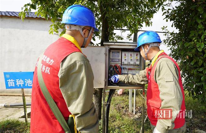 米乐M6网页版：可靠供电护航智慧农业他们助力“长江三鲜”在武汉成功养殖(图7)