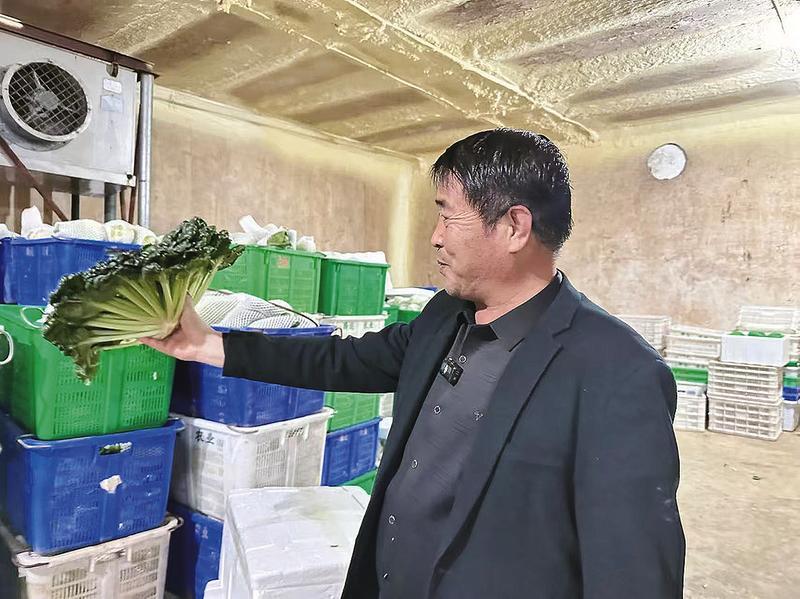 米乐M6平台：农产品“过冬”记(图4)
