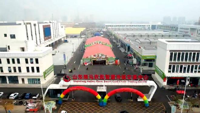 米乐M6网页版：德州黑马农批智慧冷链交易中心建成试营业(图2)