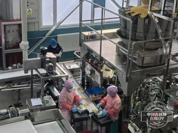米乐M6网页版：延边州：精耕细作打造区域经济发展新引擎(图4)