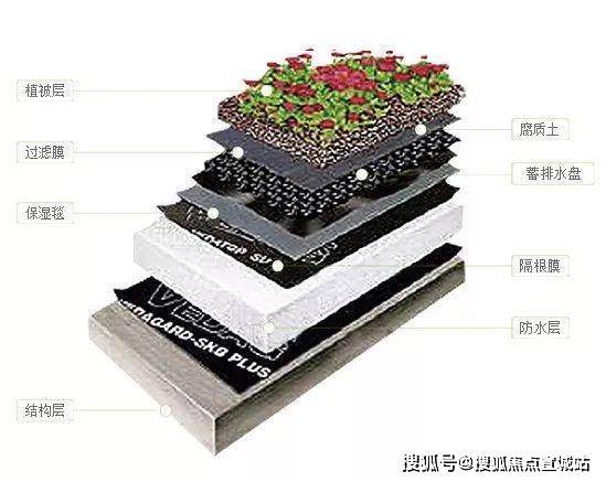 米乐M6平台：中鹰黑森林(售楼处)-中鹰黑森林售楼中心首页网站丨2025欢迎您丨楼盘详情(图8)