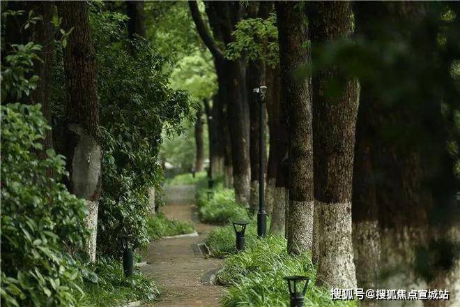 米乐M6平台：中鹰黑森林(售楼处)-中鹰黑森林售楼中心首页网站丨2025欢迎您丨楼盘详情(图6)