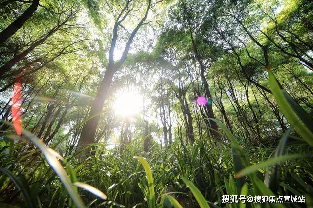 米乐M6平台：中鹰黑森林(售楼处)-中鹰黑森林售楼中心首页网站丨2025欢迎您丨楼盘详情(图7)