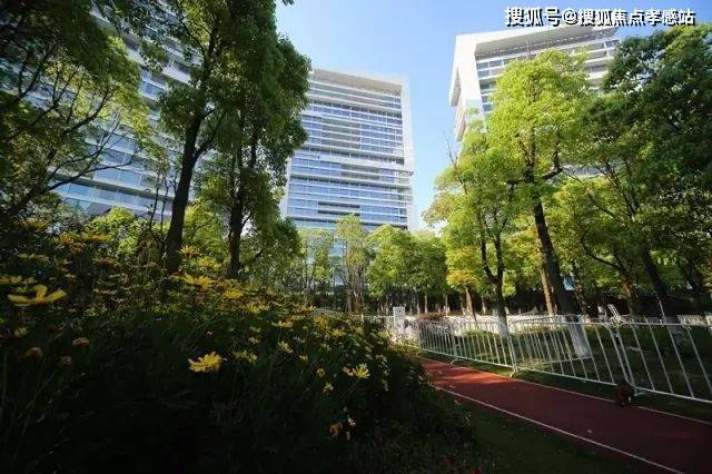 中鹰黑森林【发布】2025楼盘测评以及户型分析+附详细资料(图7)