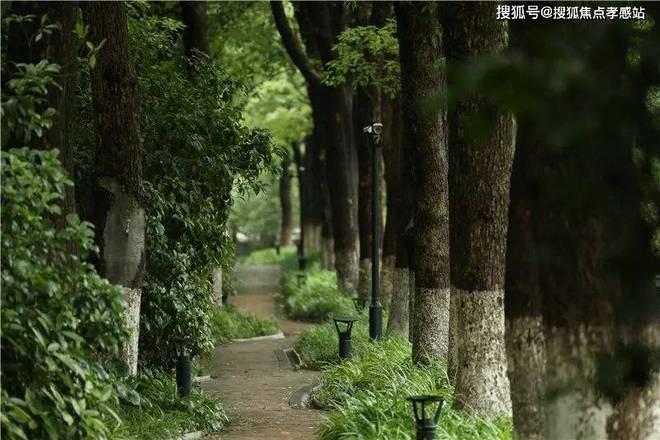 中鹰黑森林【发布】2025楼盘测评以及户型分析+附详细资料(图8)