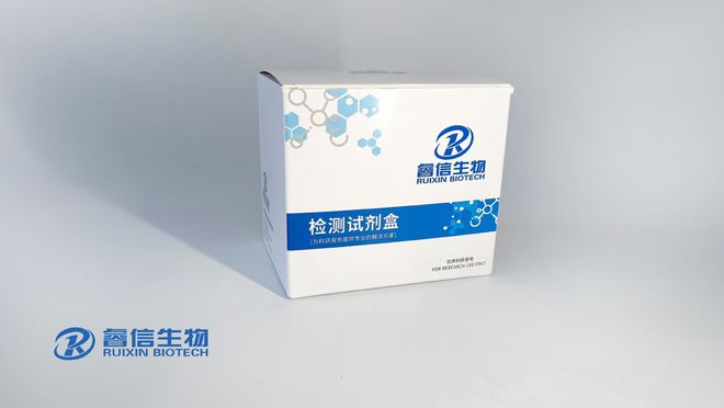 大鼠雌二醇（E2）定量检测试剂盒（ELISA）的使用指南(图1)