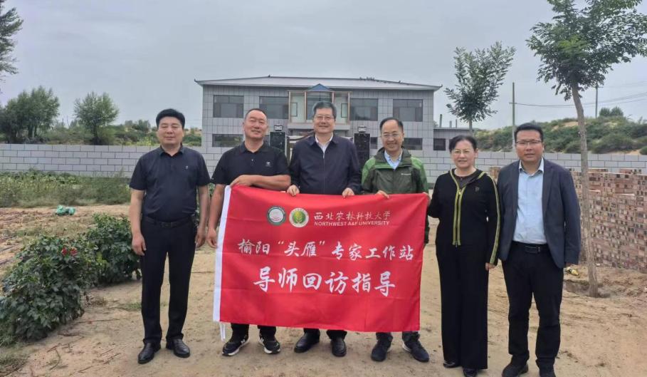 最具三农情怀企业家杨镇通“头雁”引领“群雁”飞(图4)