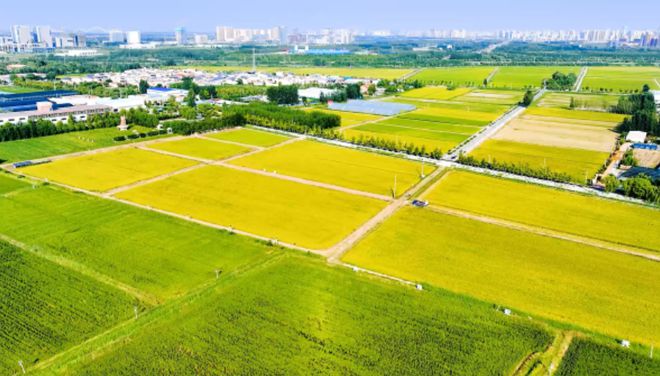 槐荫区2025年：持续提升城市功能品质(图1)