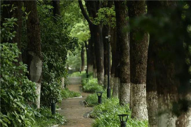 中鹰黑森林售楼处2025网站-中鹰黑森林百科-上海房天下(图5)
