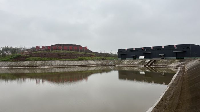 从鱼塘到餐桌看内江市市中区如何“游”出白乌鱼产业新蓝海(图1)