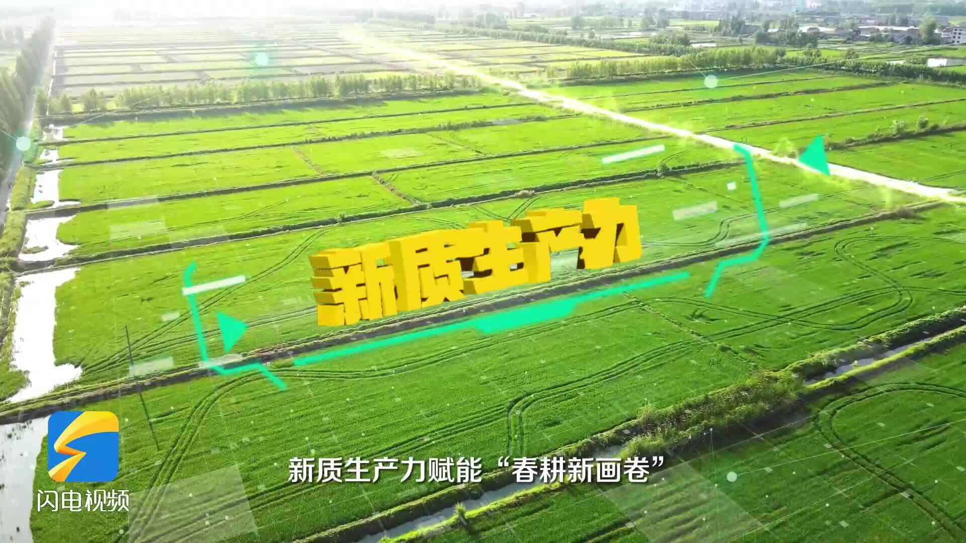闪电评论｜因地制宜发展农业新质生产力齐鲁农业“挑大梁”“换新颜”(图1)